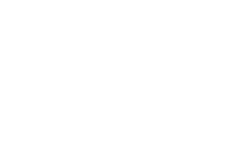 icon8
